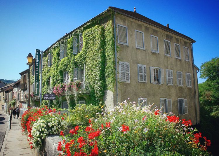 Au cœur d’Arbois, la maison conserve notamment le laboratoire et la bibliothèque de Pasteur. L’ensemble doit être restauré et aménagé afin d’accueillir un large public.